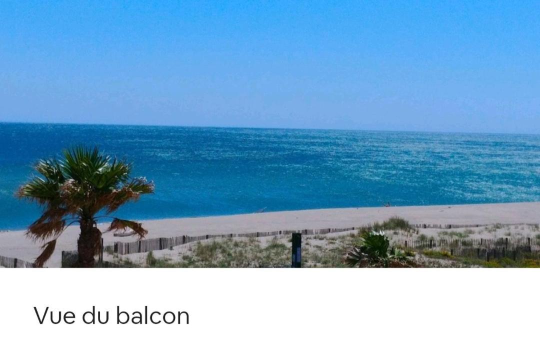 Vue Mer Panoramique Wifi Gratuit Le Barcarès المظهر الخارجي الصورة